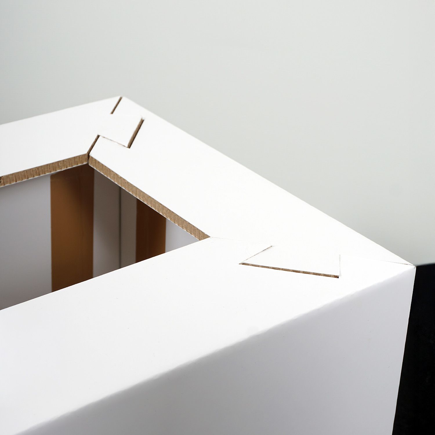 Kartongförpackning detalj