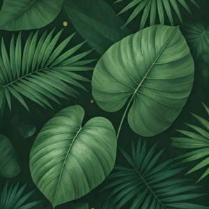 Eucalyptus