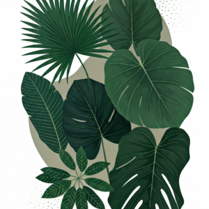 Monstera